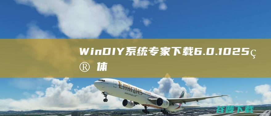 WinDIY系统专家下载6.0.1025简体