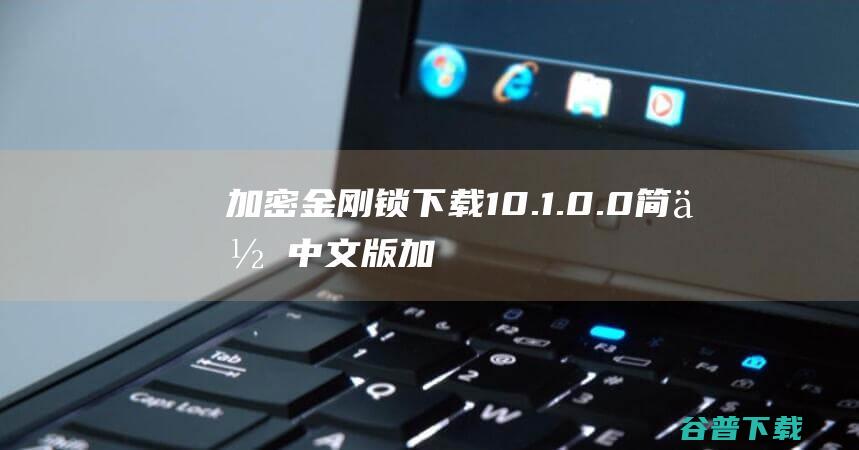 加密金刚锁10.1.0.0简体中文版加