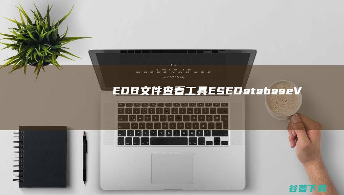 EDB文件查看工具(ESEDatabaseView)下载v1.33绿色中文版-