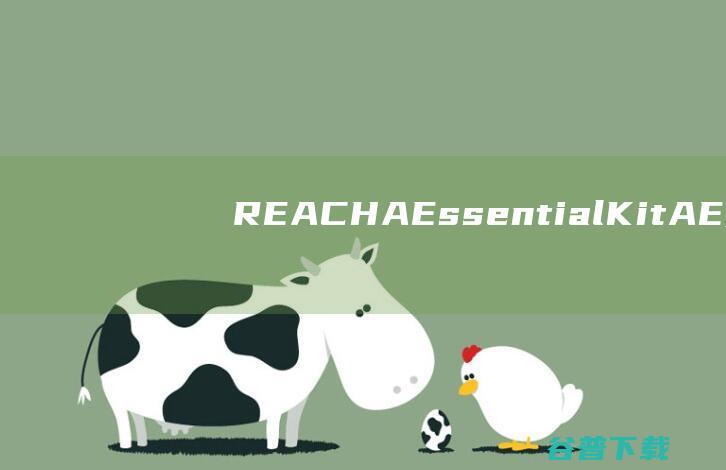 REACHAEssentialKit(AE实用小工具集合脚本)下载v1.9.5免费版-