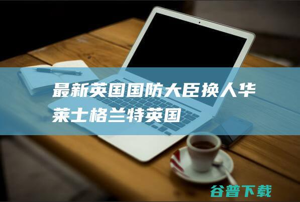 最新英国国防大臣换人华莱士格兰特英国