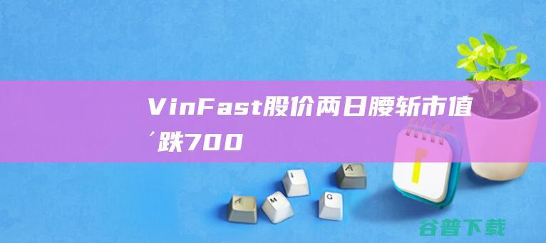 VinFast两日腰斩市值暴跌700