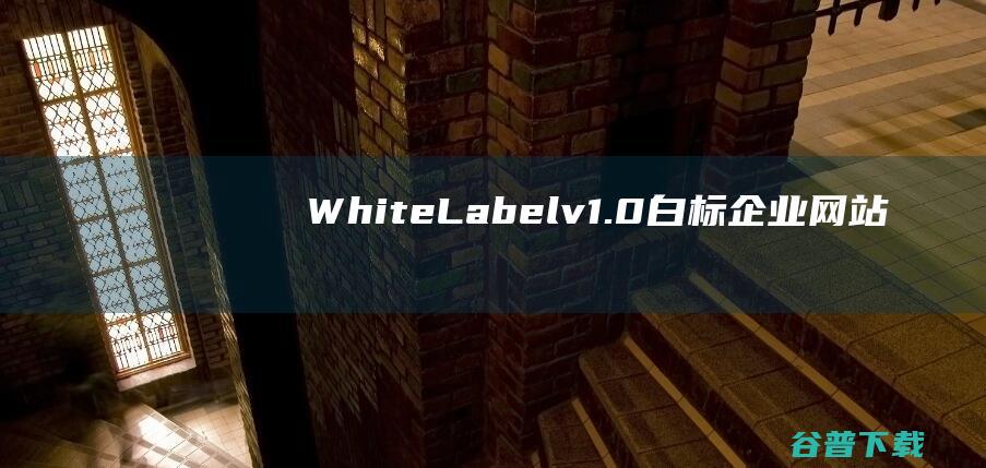 WhiteLabelv1.0-白标企业网站、商业网站HTML模板