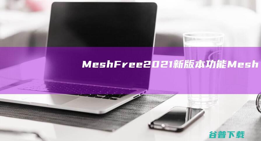 MeshFree2021新版本功能Mesh