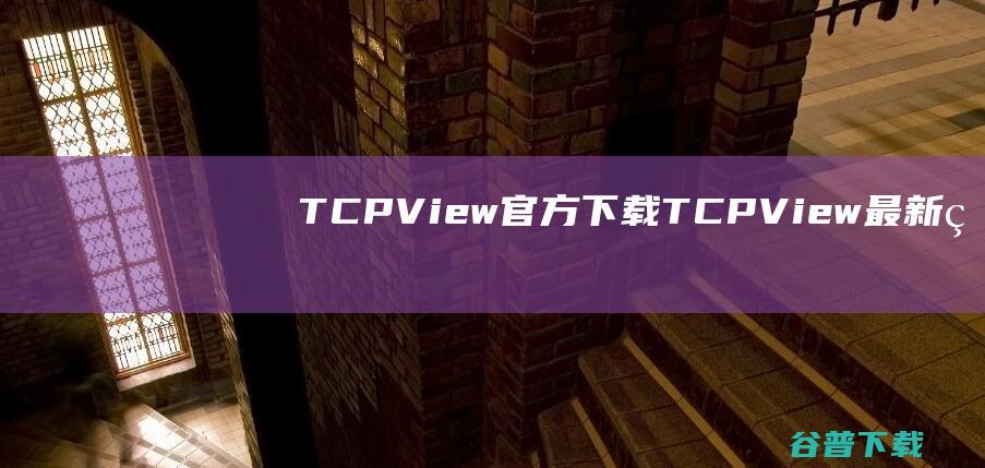 TCPView官方下载_TCPView最新版v3.5.0.0免费下载