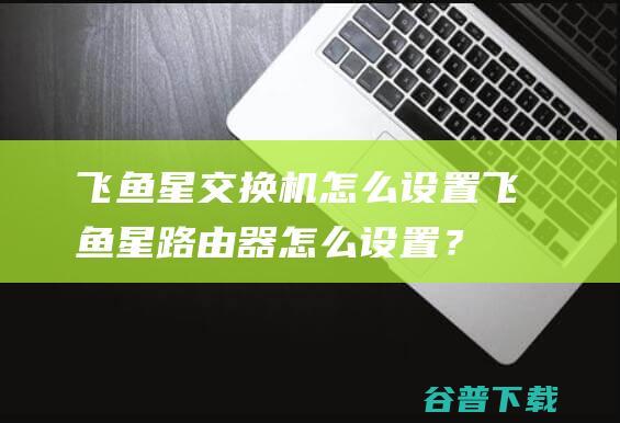 飞鱼星交换机怎么设置,飞鱼星路由器怎么设置？