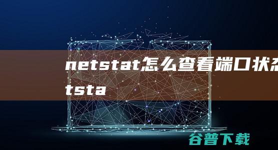 netstat怎么查看端口netsta
