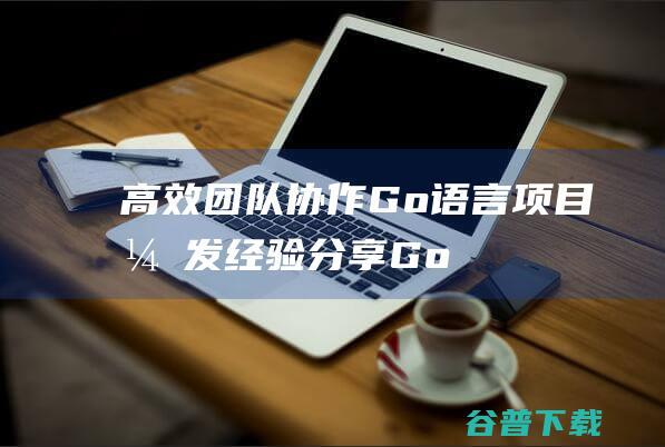 高效团队Go语言项目开发经验分享Go