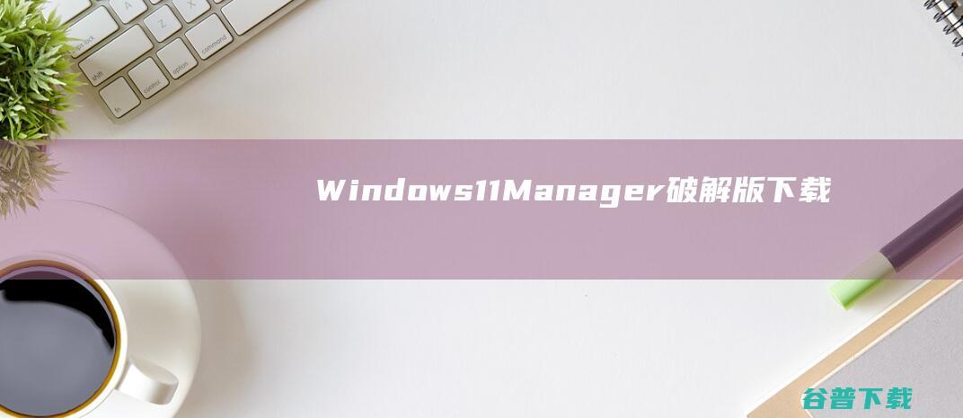 Windows11Manager破解版下载