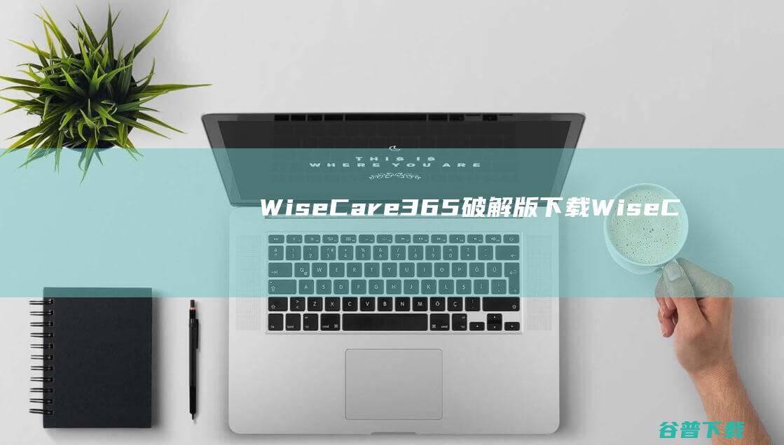 WiseCare365破解版WiseC
