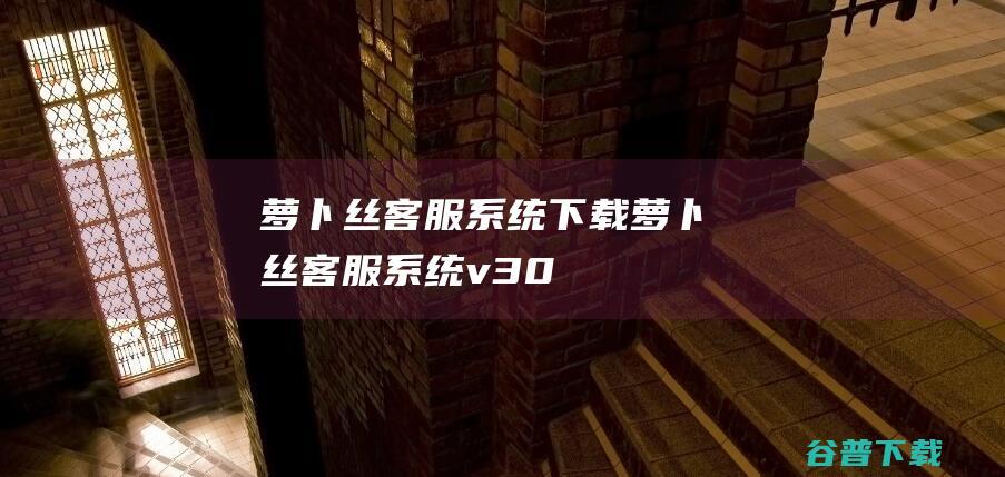 萝卜丝客服系统下载-萝卜丝客服系统v3.0.4官方免费版