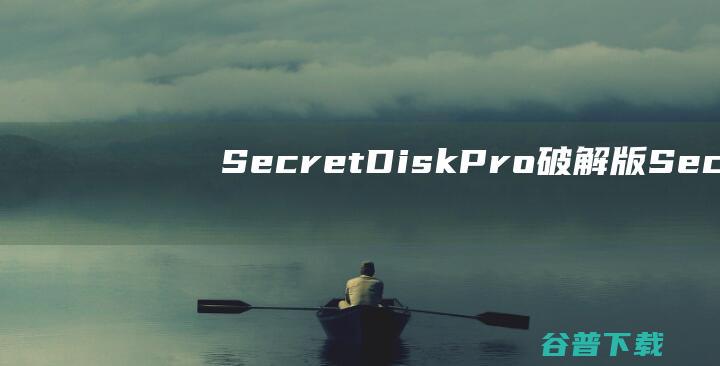 SecretDiskPro破解版-SecretDiskPro(磁盘加密软件)v2023.5免费版