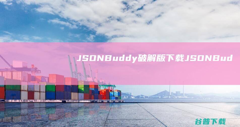 JSONBuddy破解版下载-JSONBuddy汉化破解版v7.4.3免费版