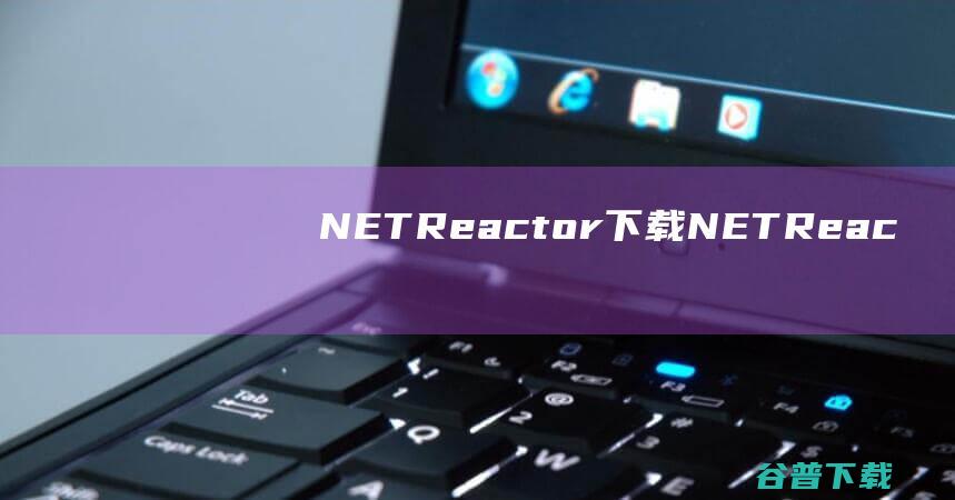 .NETReactor下载-.NETReactor(.NET代码保护工具)v6.9免费版