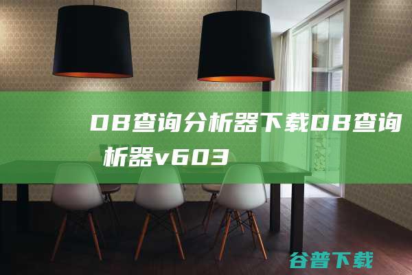 DB查询分析器下载DB查询分析器v603