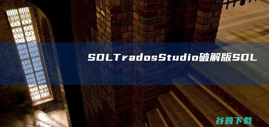 SDLTradosStudio破解版-SDLTradosStudio(软件本地化工具)v17.1.6免费版