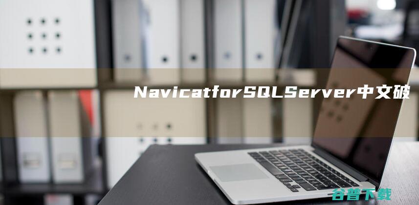 NavicatforSQLServer中文破解版-NavicatforSQLServer破解版v16.1.12含注册码