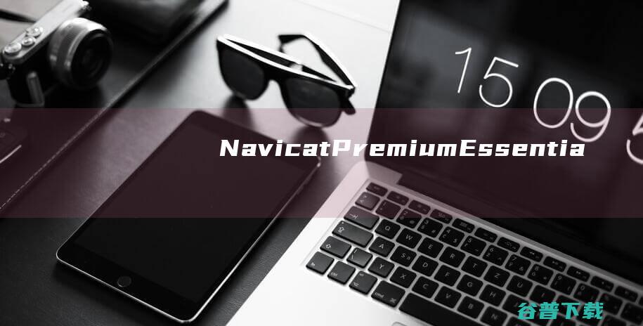 NavicatPremiumEssentials破解版-NavicatPremiumEssentials(数据库开发工具)v16.1.9中文版