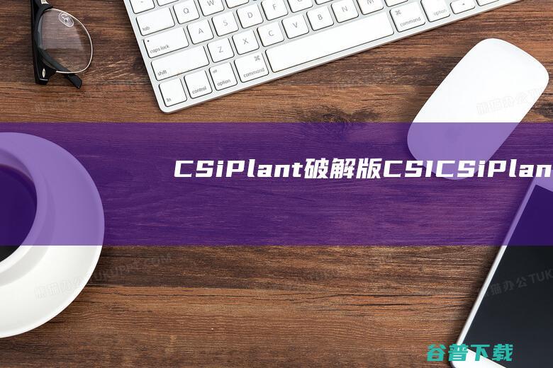 CSiPlant破解版-CSICSiPlant(管道分析设计软件)v8.1免费版