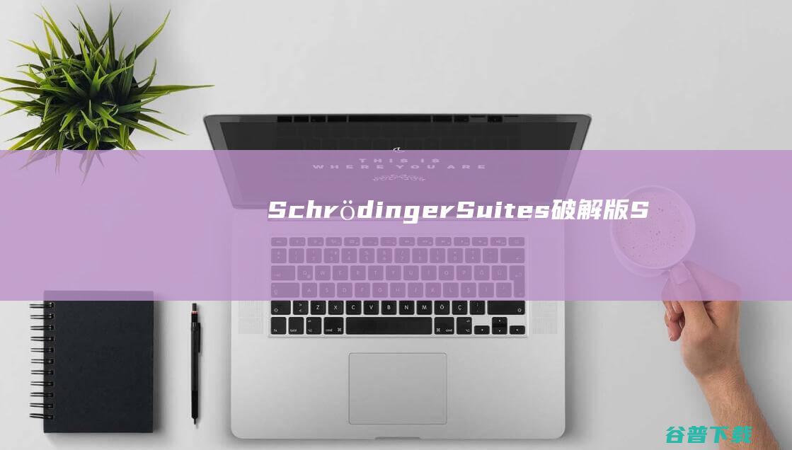 SchrödingerSuites破解版S