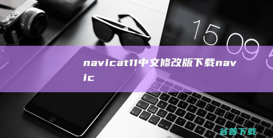 navicat11中文修改版下载-navicatpremium修改版(数据库管理工具)下载v11.0.8汉化版