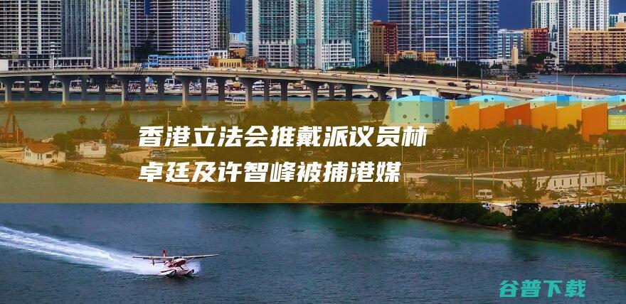 香港立法会推戴派议员林卓廷及许智峰被捕港媒