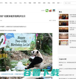 大熊猫“叻叻”在新加坡庆祝两岁生日