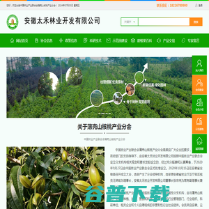 中国林业产业联合会薄壳山核桃产业分会