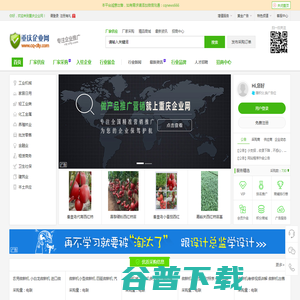 重庆企业网